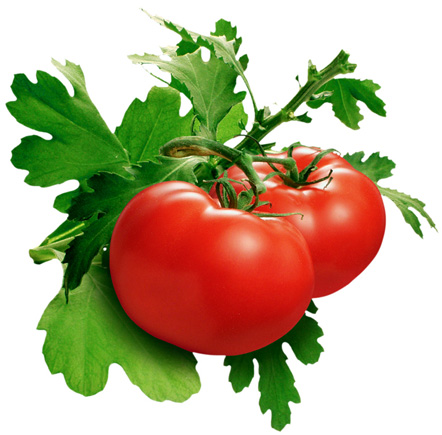 Cách xào cà chua