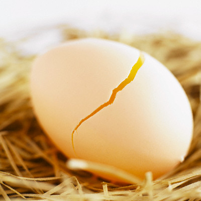 Phương pháp bảo quản trứng